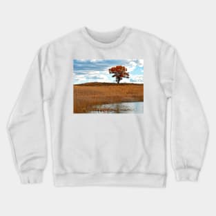 Solitary Tree Crewneck Sweatshirt